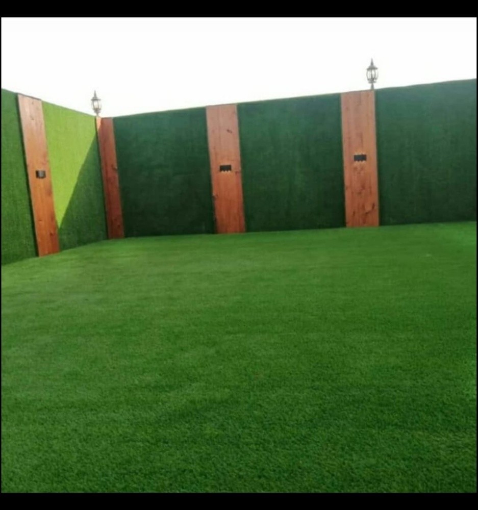 العشب الأخضر - 2