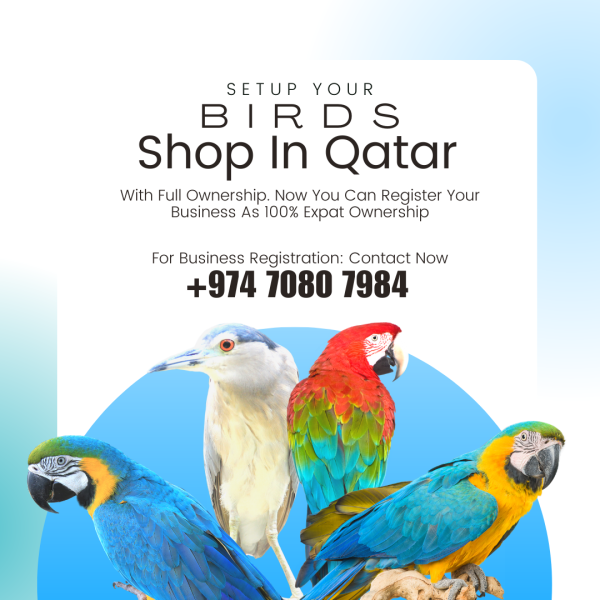 Setup Birds Business In Qatar - 1