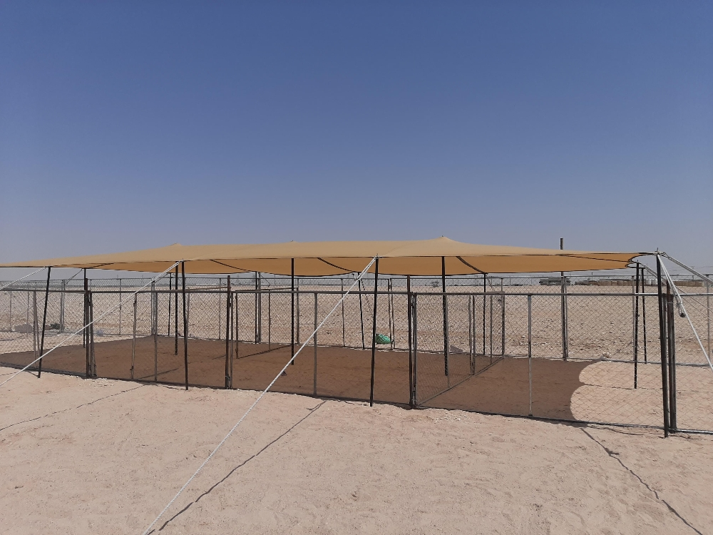 ظلال حلال - 3