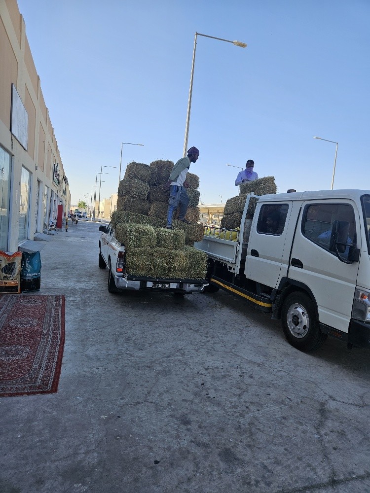 جت شعير ذرا - 1