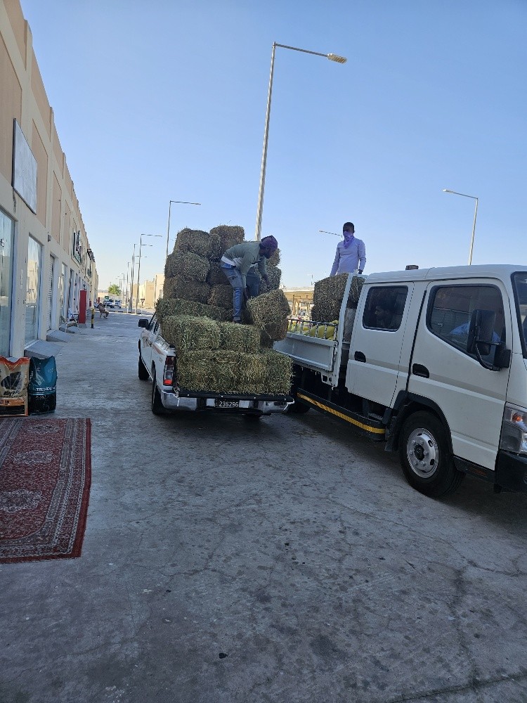 جت شعير ذرا - 2