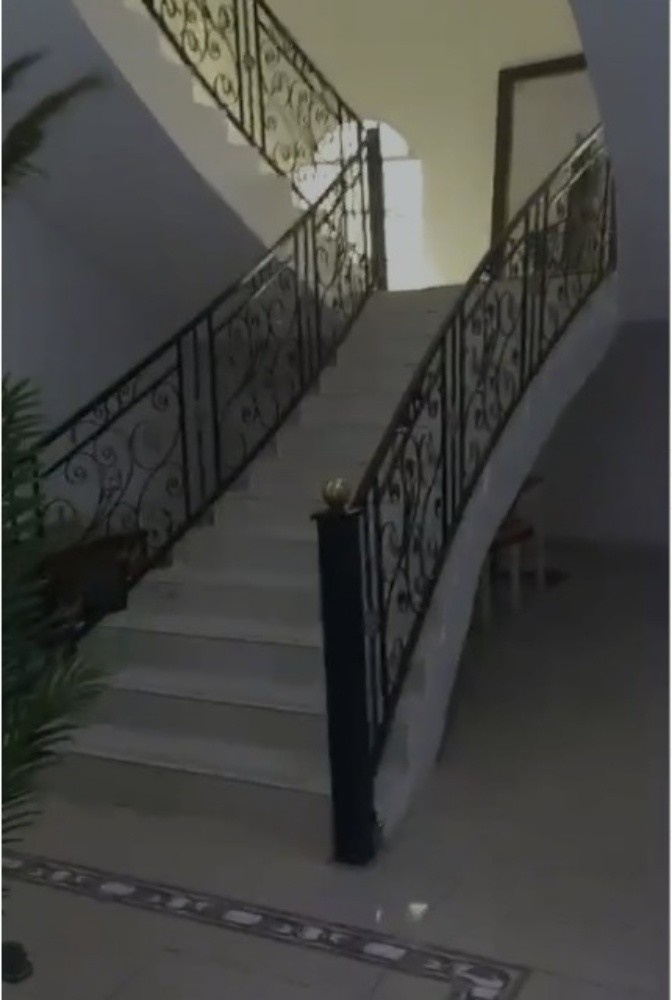 فيلا الريان حمد الكبير 1200 متر - 4