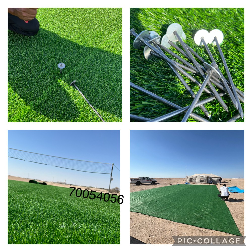 العشب الأخضر والسجاد - 2