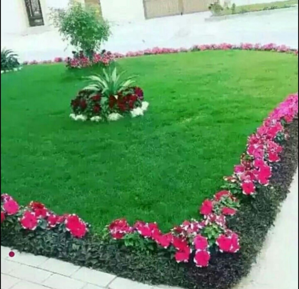 ملك الاندسكيب. - 7