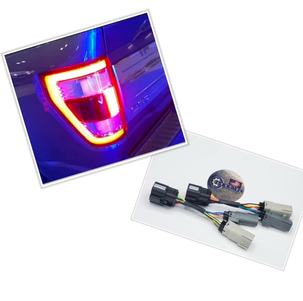 F-150 halogen tail - 1