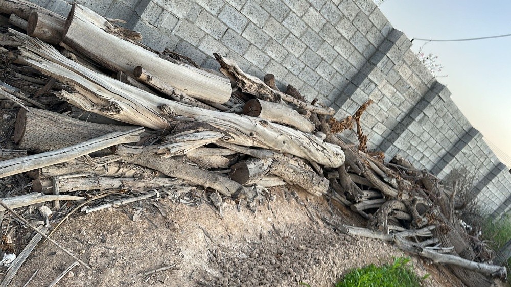 مقطع اشجار وانا خيل - 2