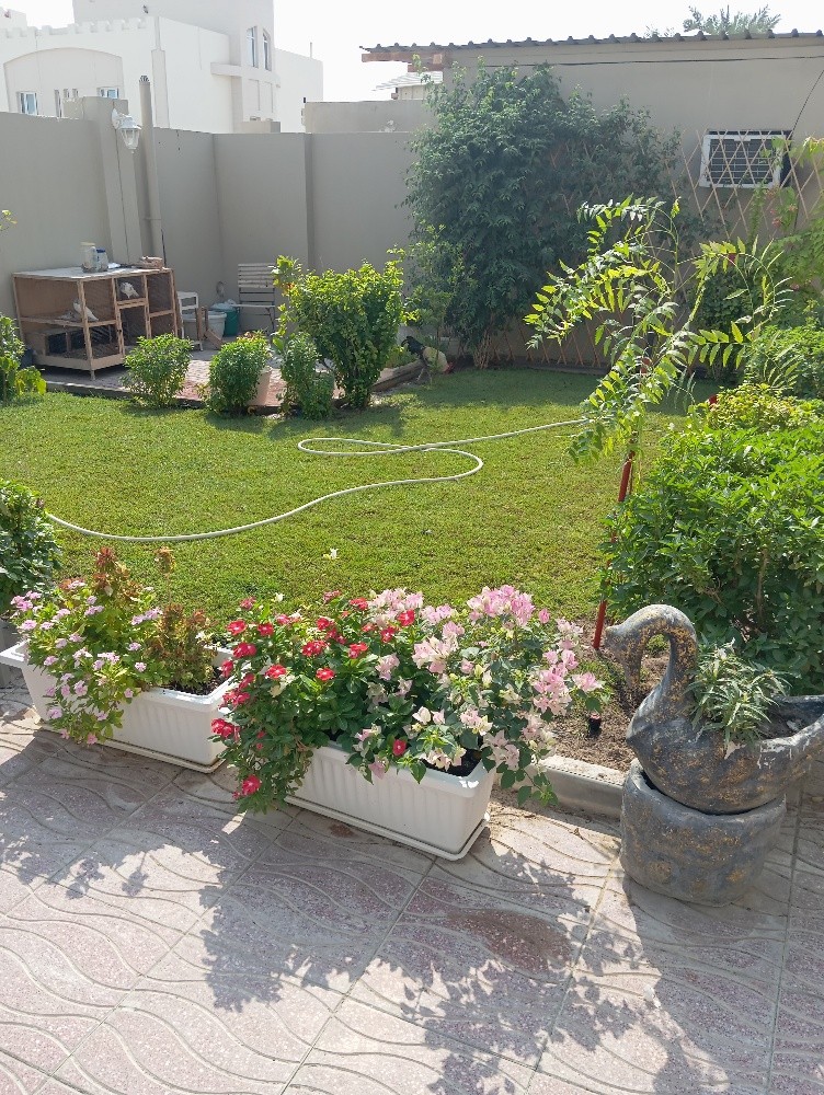 مزارع ومنسق الحدائق وعمل شبكات - 3