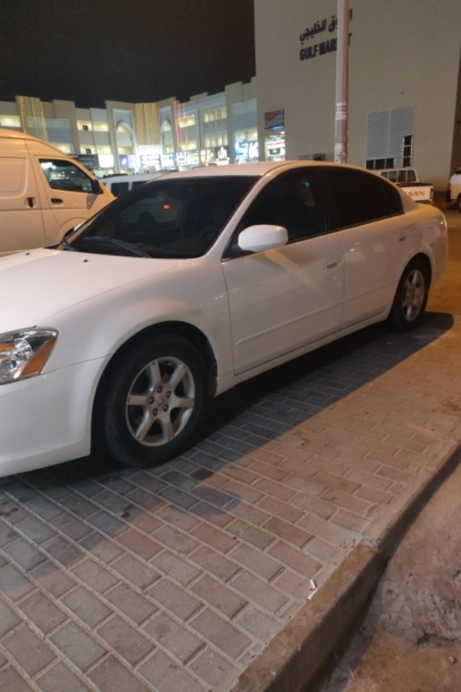 نسيان التيما 2005 - 3