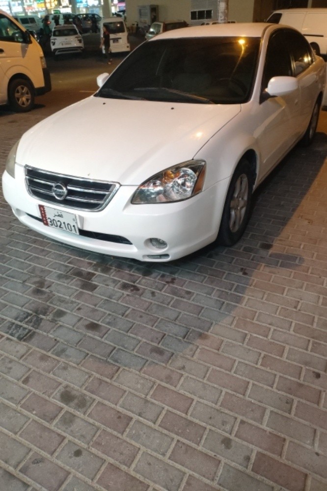 نسيان التيما 2005 - 4