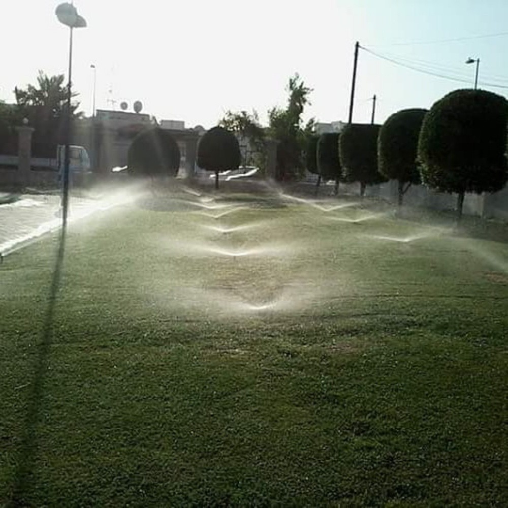 عشب اخضر - 1