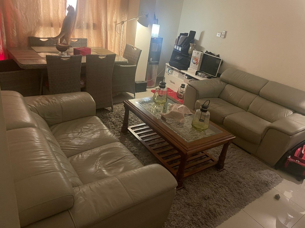 2 Sofas leather & carpet 180/250 - 3