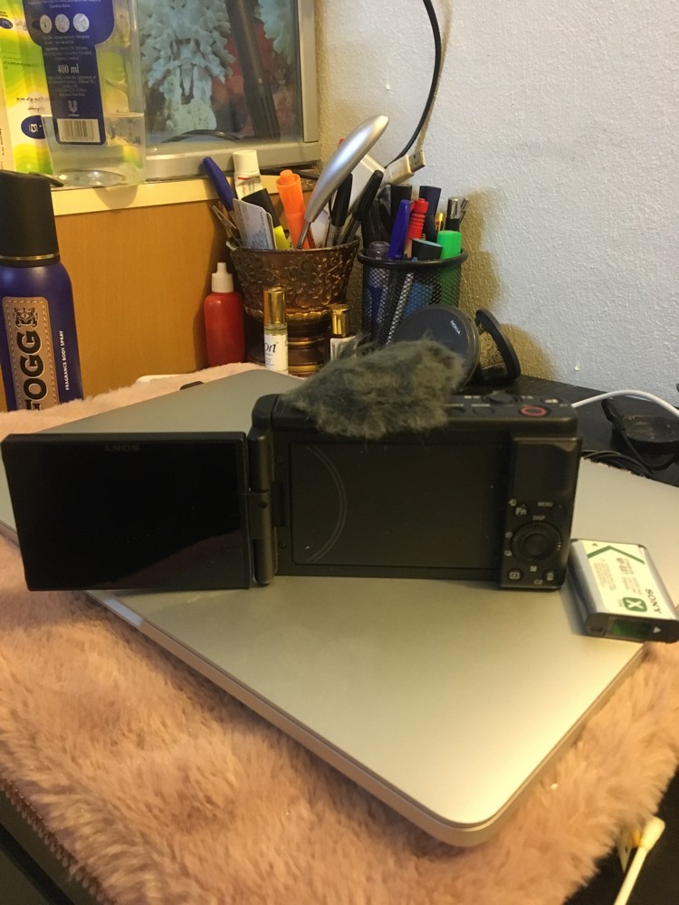 SONY ZV1 Digital camera - 10