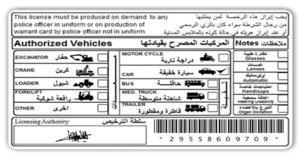 saqib - 1