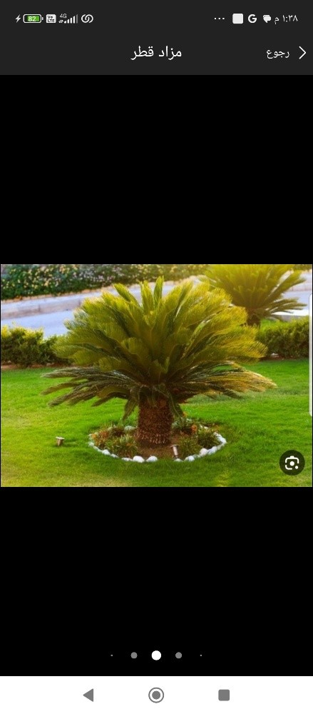 مزارع ومنسق حدائق - 4