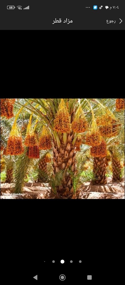 مزارع ومنسق حدائق - 11