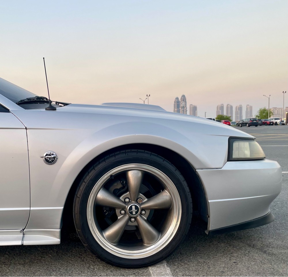 موستنج ٢٠٠٤ - 7