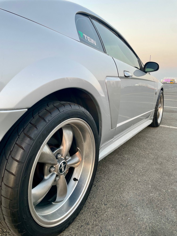 موستنج ٢٠٠٤ - 2