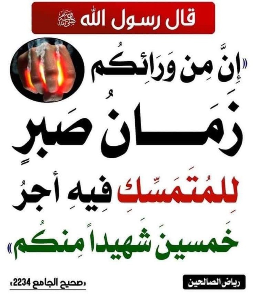 مدرس مصرى متخصص - 1