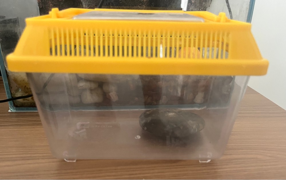 Fish tank with accessories - 4