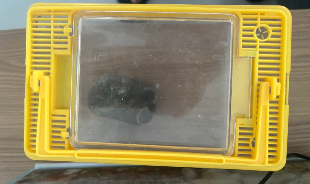 Fish tank with accessories - 7