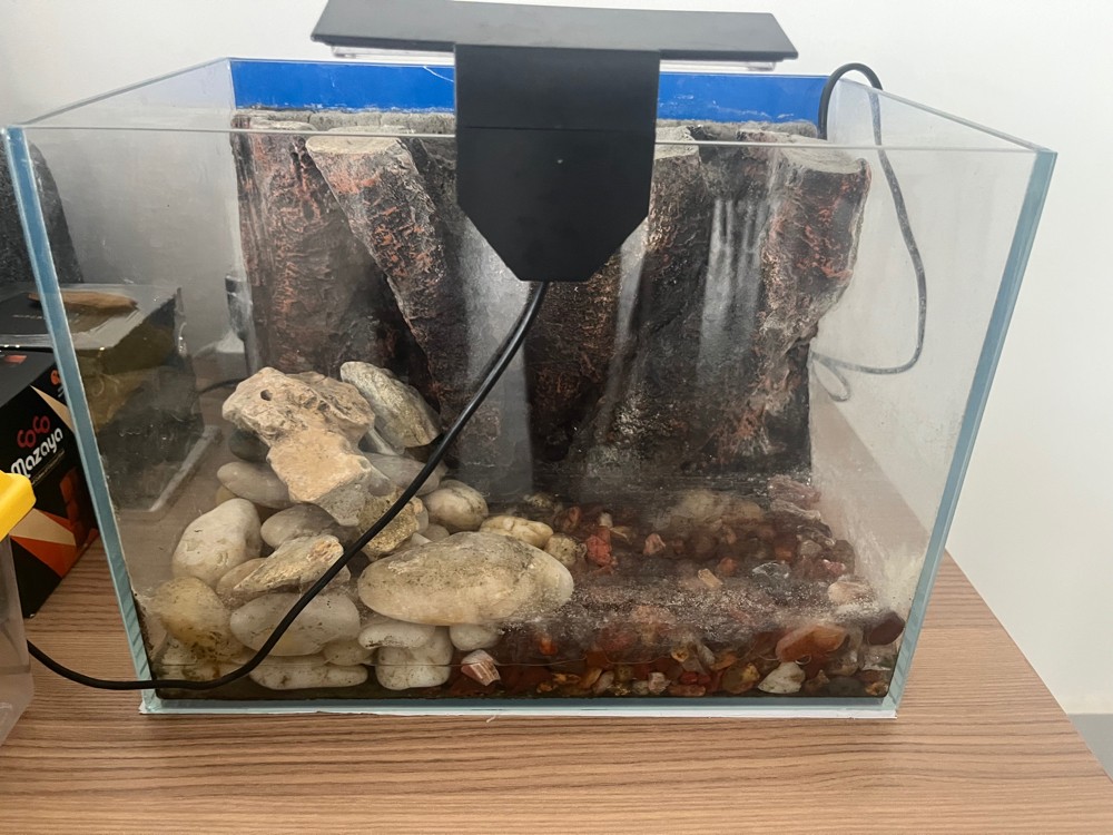 Fish tank with accessories - 3