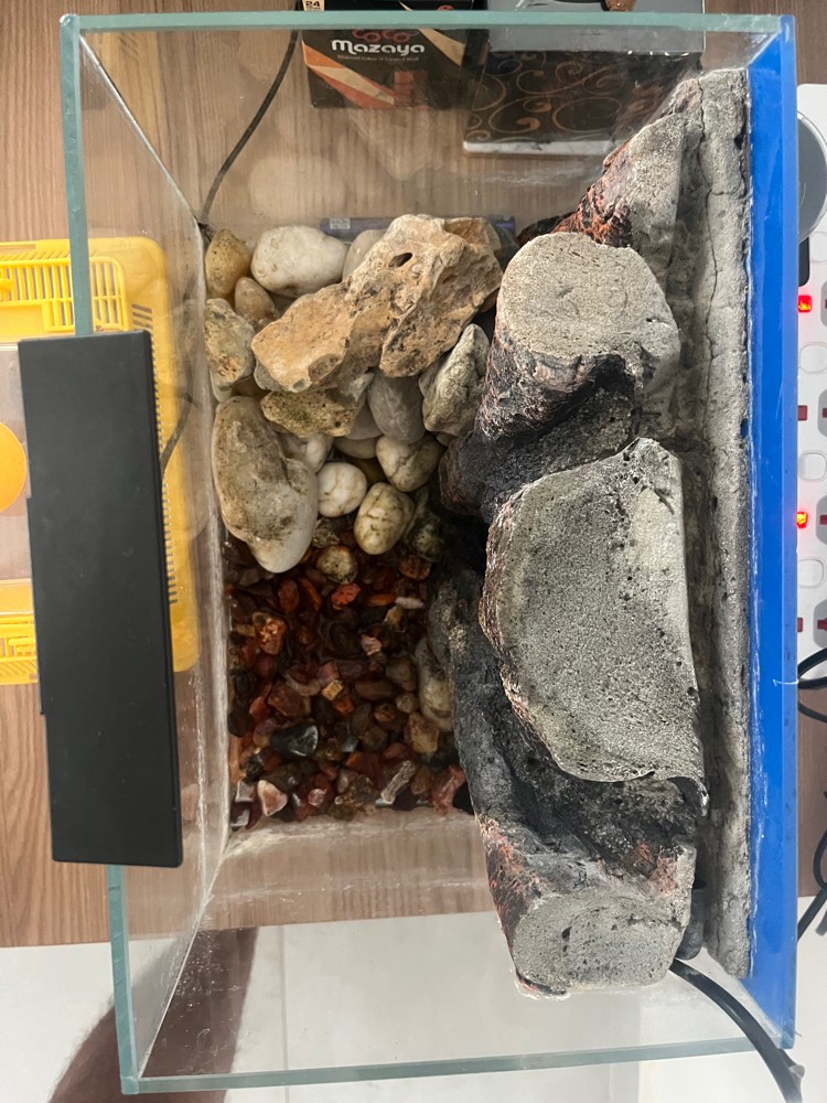 Fish tank with accessories - 1