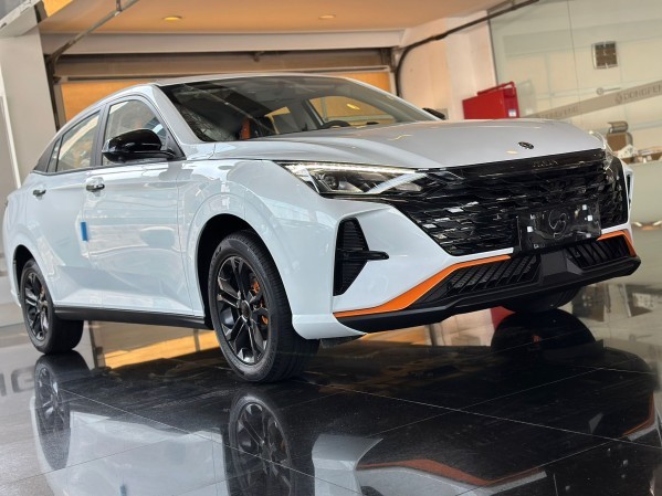 شاين 2026 - 2