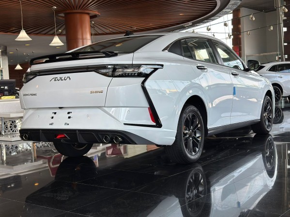 شاين 2026 - 5