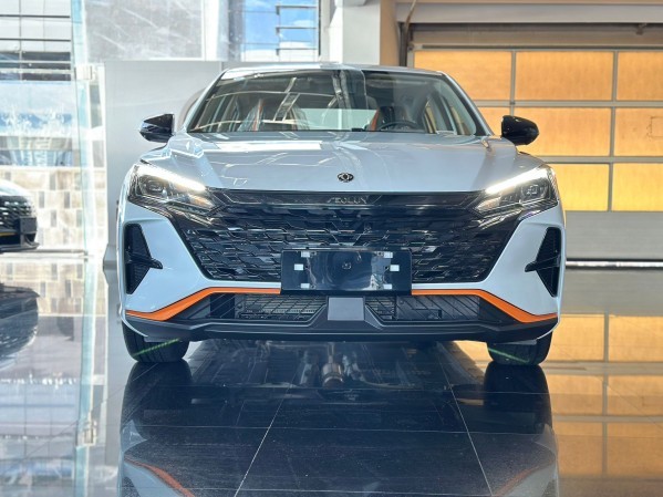 شاين 2026 - 1