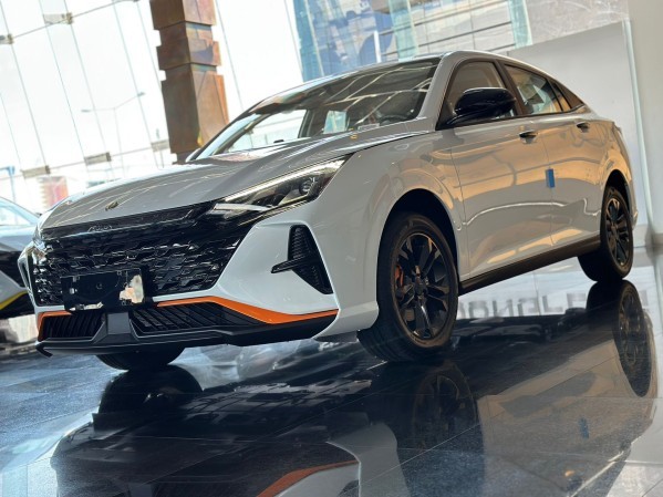 شاين 2026 - 3