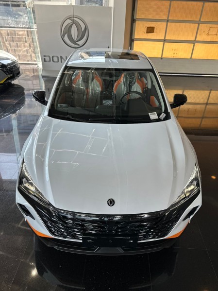 شاين 2026 - 6