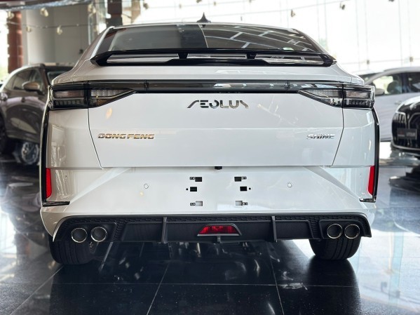 شاين 2026 - 4