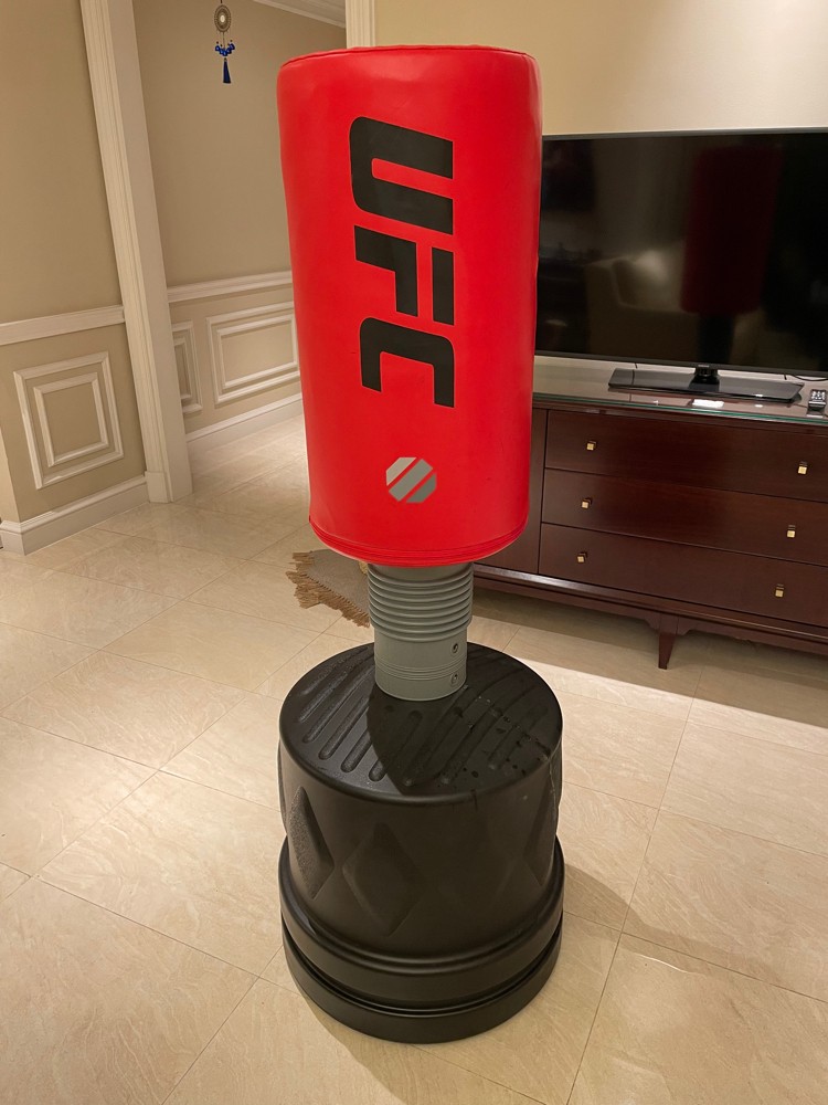 Punching Bag - 1