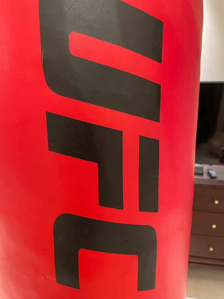 Punching Bag - 2