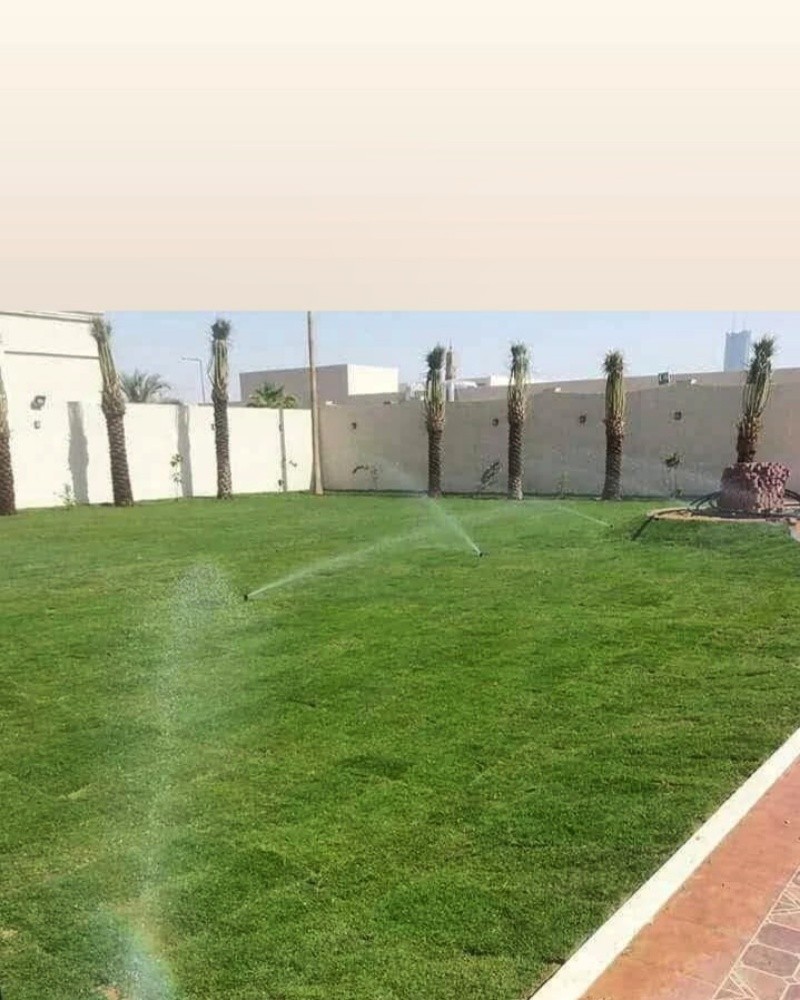 زراعه وديكور - 3