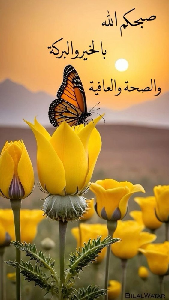 محمد علي - 1