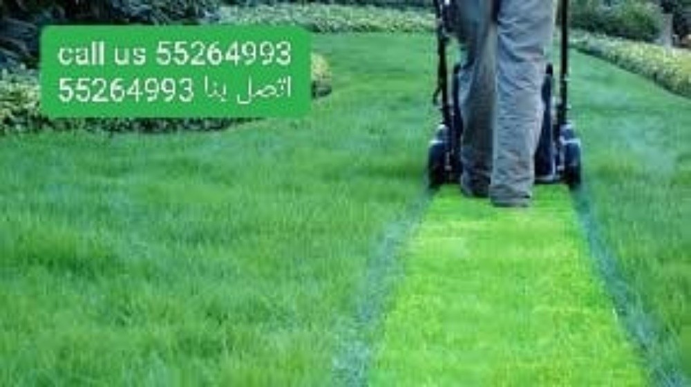 شكيل أحمد الانصاري - 3