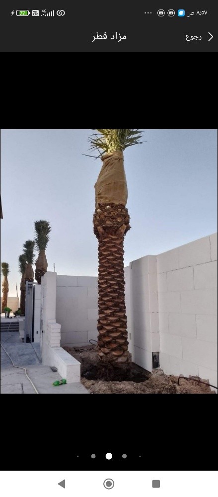 مزارع ومنسق حدائق - 2