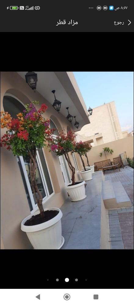 مزارع ومنسق حدائق - 8
