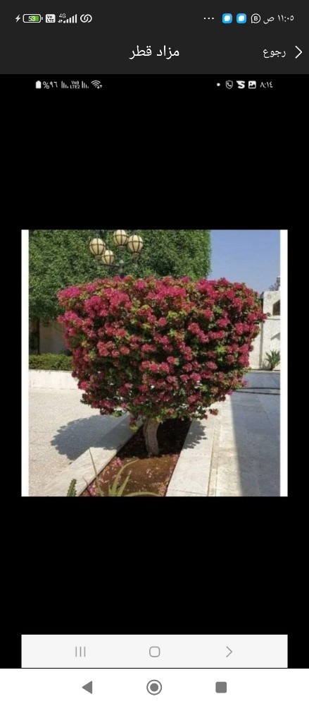 مزارع ومنسق حدائق - 9