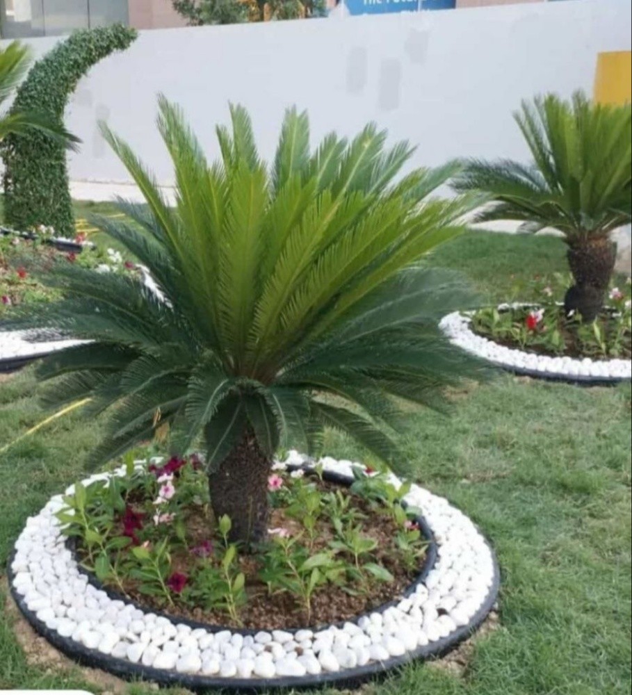 مزارع ومنسق حدائق - 12