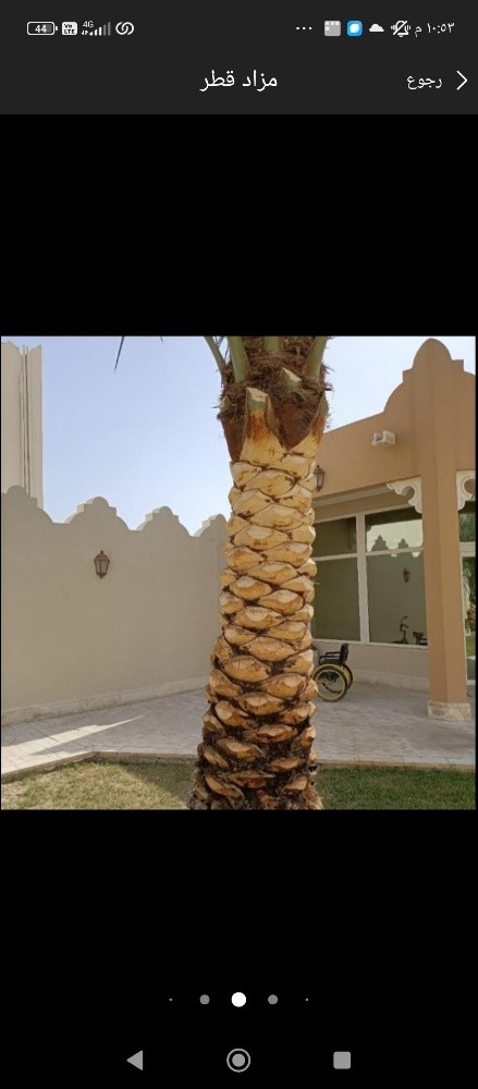 الشلالات الحديثة - 5