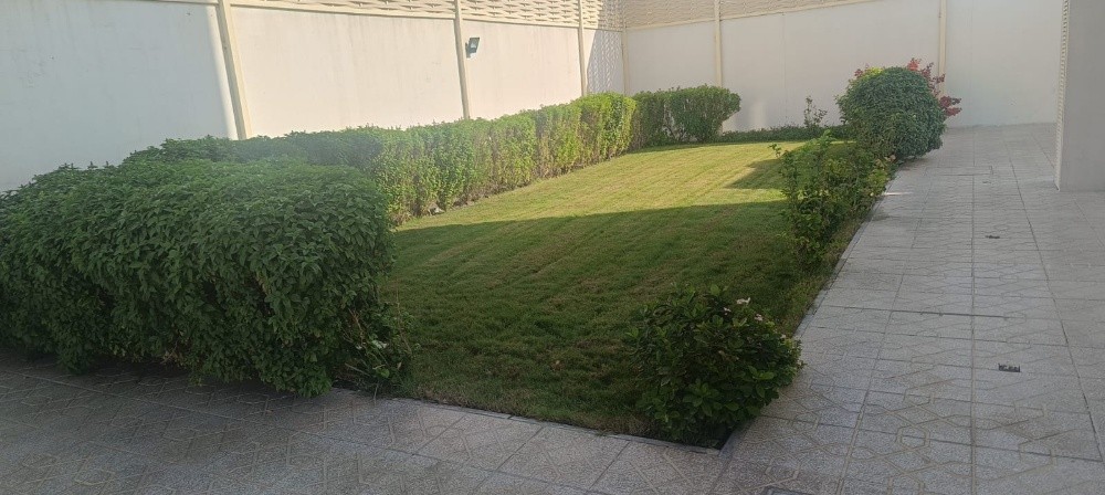 ميكس  زراعه - 2