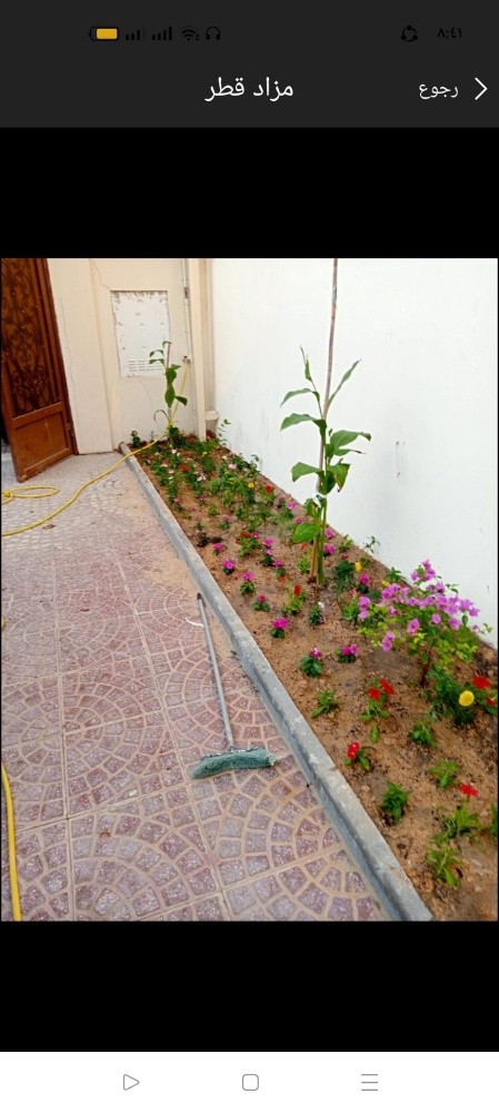 زراعة الورد والياسمين - 1
