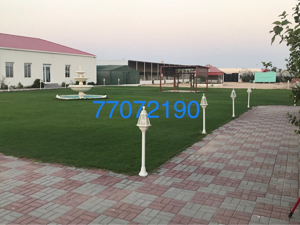 الياسمين لاندسكيب  - 6