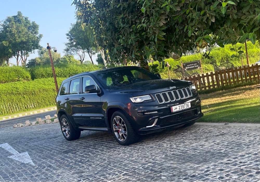 SRT 8 - 1