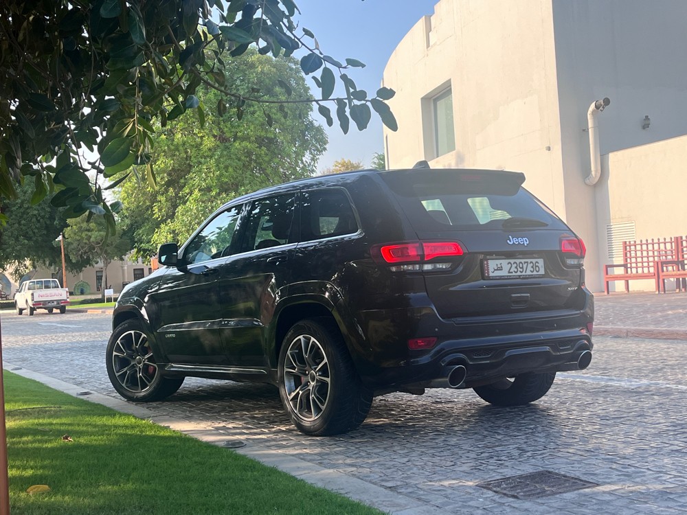 SRT 8 - 3