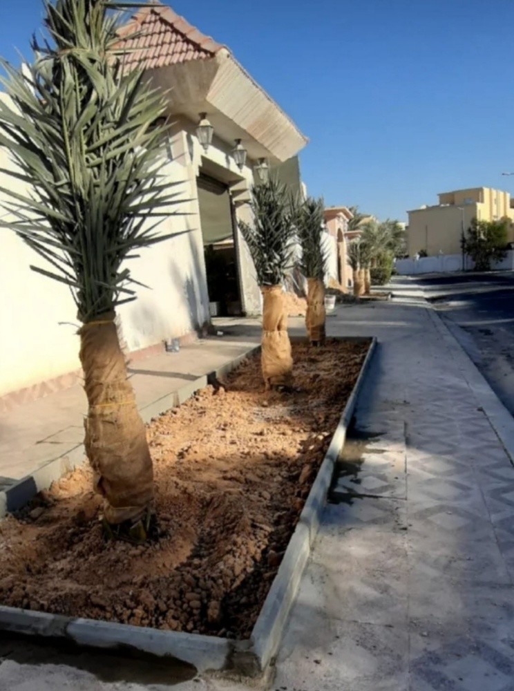 خلاص حبه کبیرة موجودة الضمان - 8