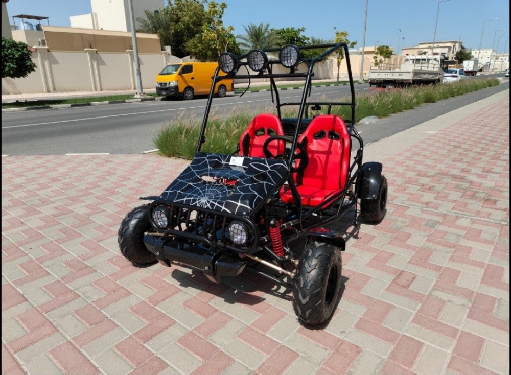 Buggy patrol 150cc - 4