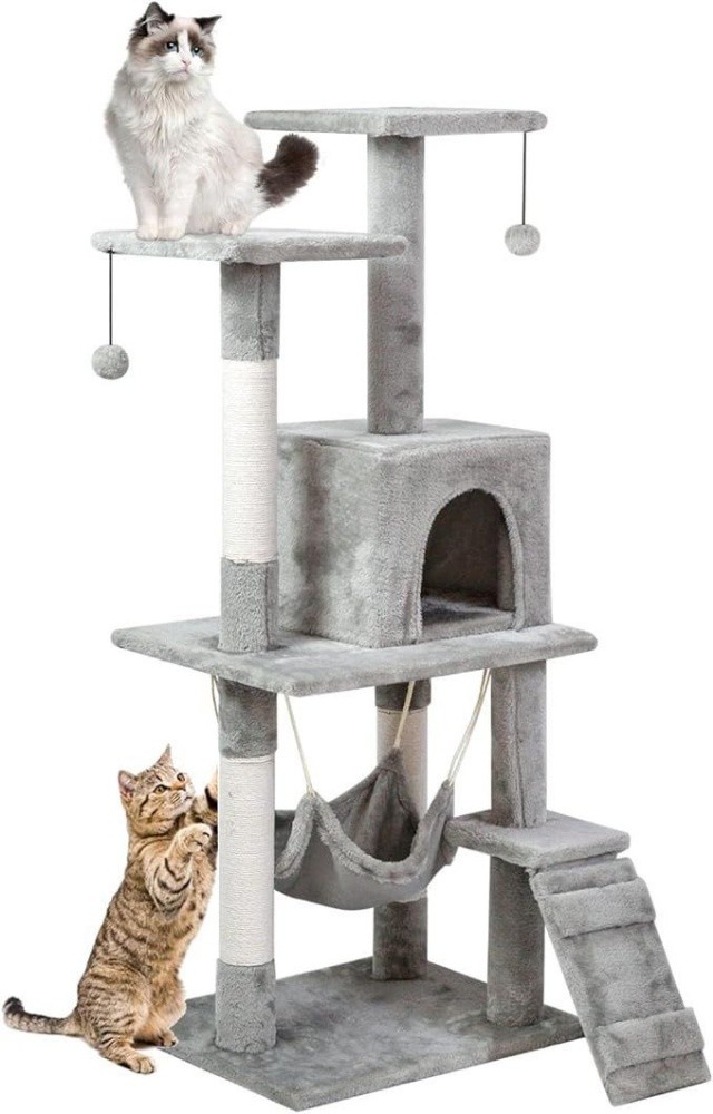 Cat climbing tree - 1